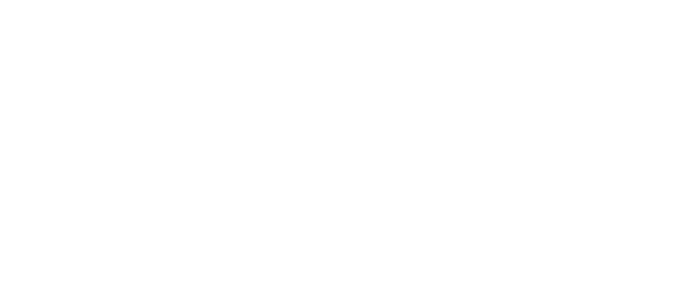 Wings With Wheels