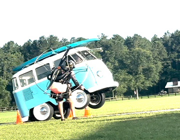 wheeliebug